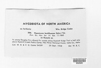 Image Associated With the Occurence
